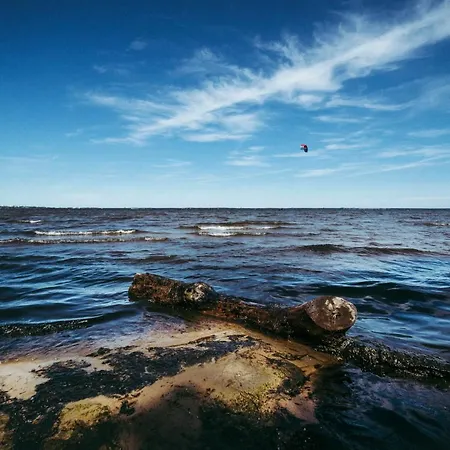 Blueapart Hotelowe Nexo Ii