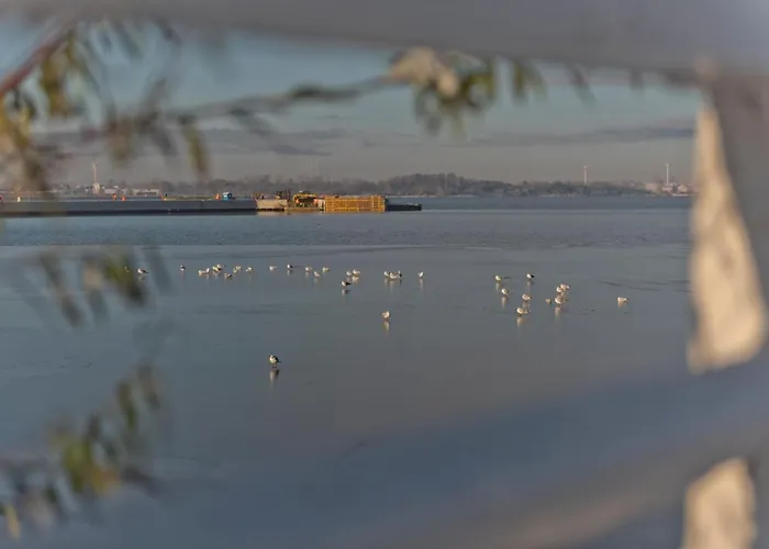 Blueapart Hotelowe Nexo Ii Apartamento